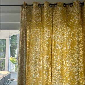 2 RARE Paisley Threshold Curtains